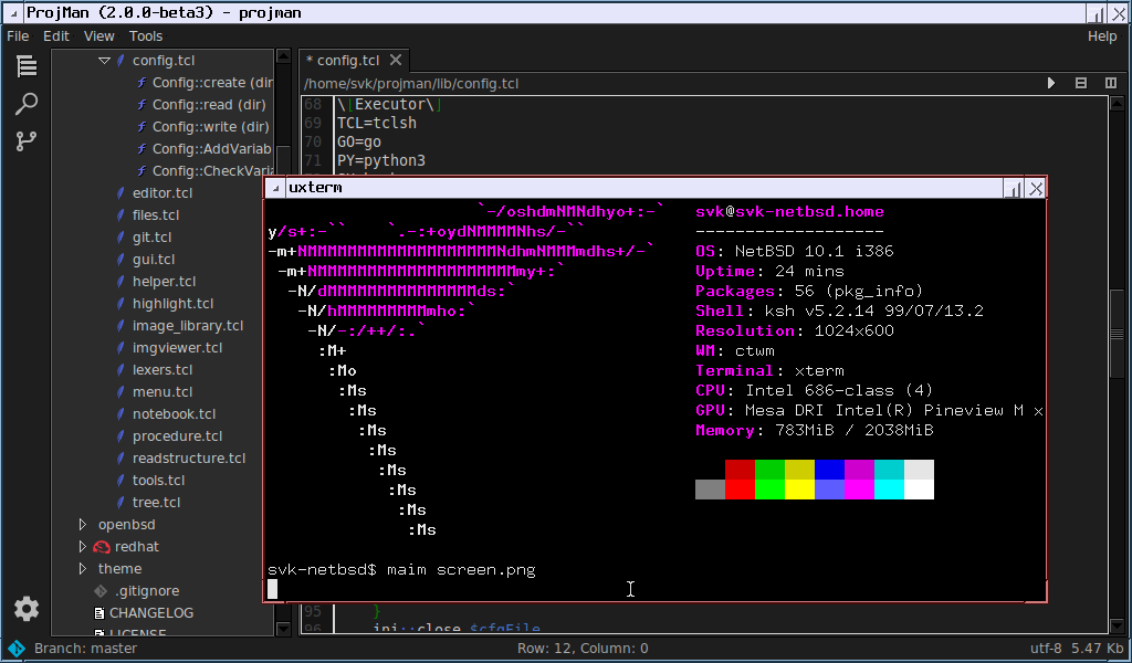 netbsd-projman.png
